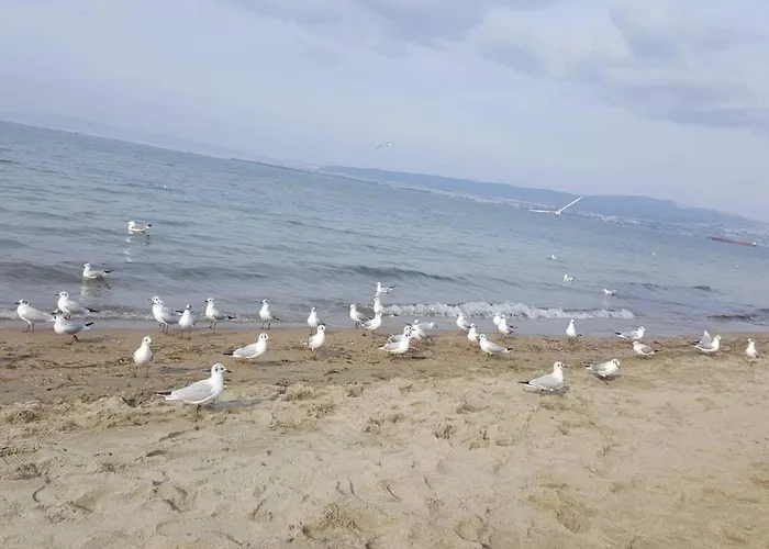 Apartamento Rena's Traditional Aegean House By The Sea *